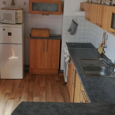 Plne Vybaveny 2+1Byt S Balkonem A Koji Pro Kola A Lyze. Rokytnice v Orlických Horách Zewnętrze zdjęcie