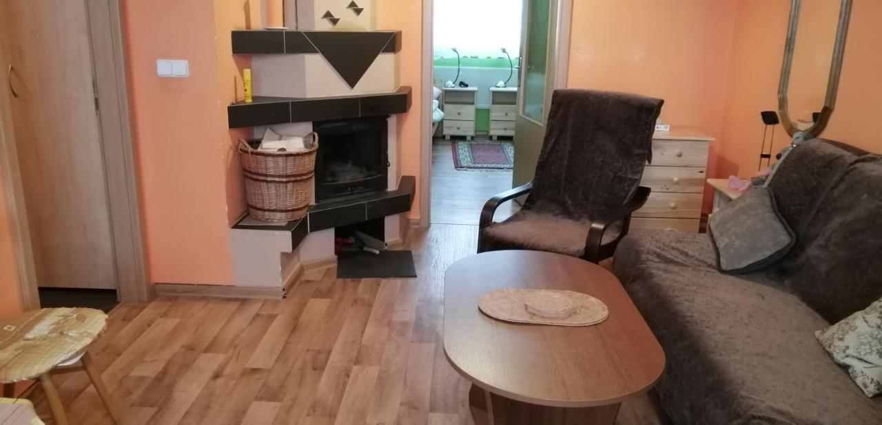 Plne Vybaveny 2+1Byt S Balkonem A Koji Pro Kola A Lyze. Rokytnice v Orlických Horách Zewnętrze zdjęcie