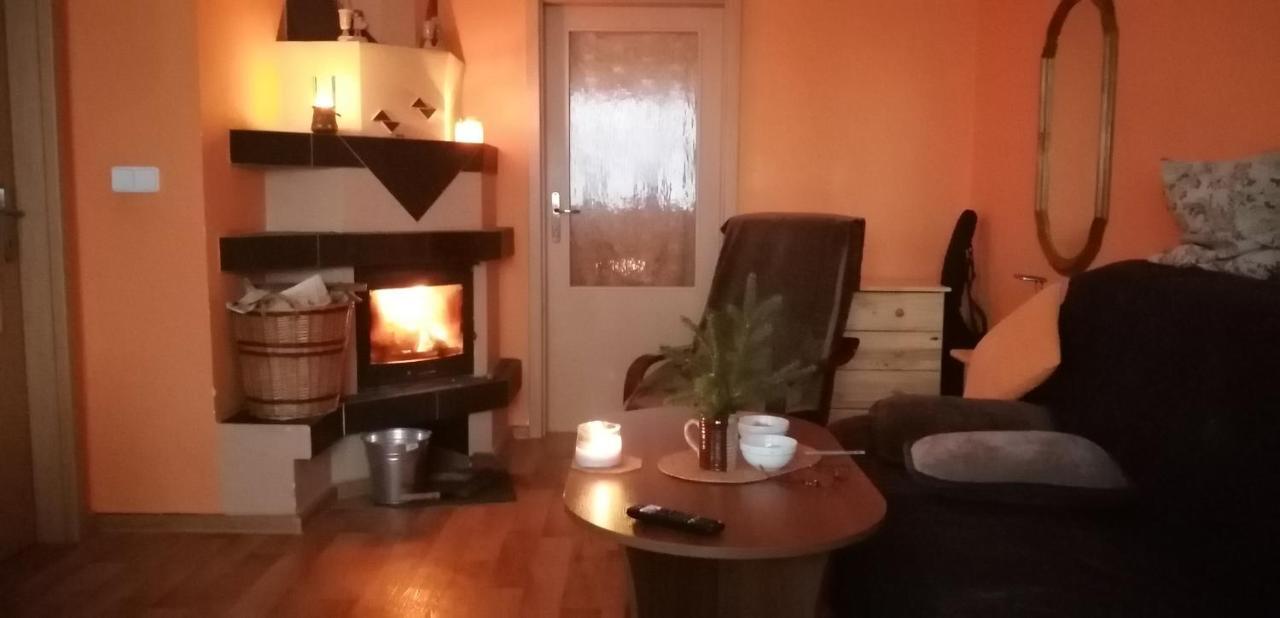 Plne Vybaveny 2+1Byt S Balkonem A Koji Pro Kola A Lyze. Rokytnice v Orlických Horách Zewnętrze zdjęcie